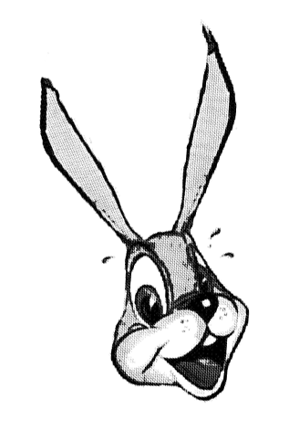 dumb bunny
